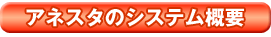 �A�l�X�^�̃V�X�e���T�v